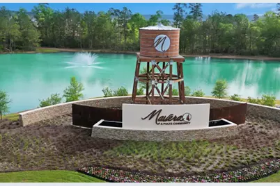 15226 Canyon Rapids Road, Conroe, TX 77302 - Photo 28