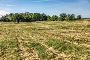 Tract 5 - 8145 Fm 390 E, Brenham, TX 77833 - Photo 1