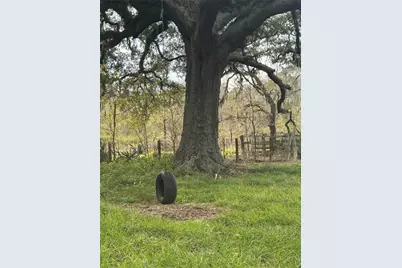 2941 Cr-352, Brazoria, TX 77422 - Photo 6