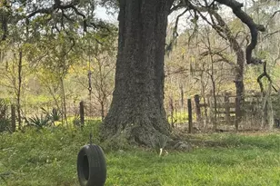 2941 Cr-352, Brazoria, TX 77422 - Photo 6