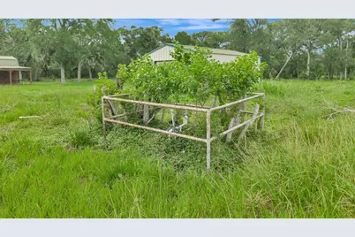 4600 Fm 1862 Road, Palacios, TX 77465 - Photo 24