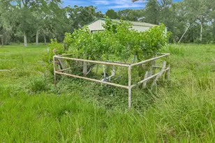 4600 Fm 1862 Rd, Palacios, TX 77465 - Photo 24