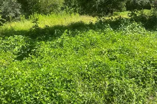 1001 Avenue E, Conroe, TX 77301 - Photo 12