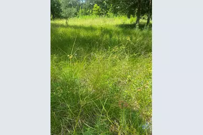 1001 Avenue E, Conroe, TX 77301 - Photo 6