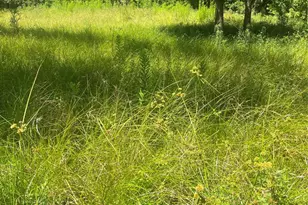 1001 Avenue E, Conroe, TX 77301 - Photo 4