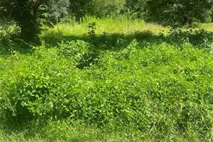 1001 Avenue E, Conroe, TX 77301 - Photo 1