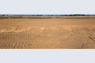 26106 Venus Trap Trail, Katy, TX 77493 - Photo 2