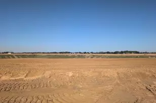 26106 Venus Trap Trail, Katy, TX 77493 - Photo 2