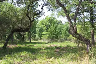 Tbd Private Road 1581, Hallettsville, TX 77964 - Photo 22