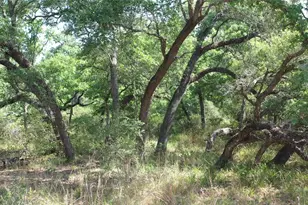 Tbd Private Road 1581, Hallettsville, TX 77964 - Photo 18