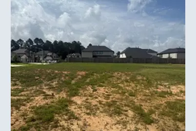 3224 Bushby Hawthorn Drive, Conroe, TX 77301 - Photo 6