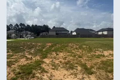 3224 Bushby Hawthorn Drive, Conroe, TX 77301 - Photo 1