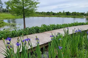 7543 Greenstone St, Houston, TX 77087 - Photo 22