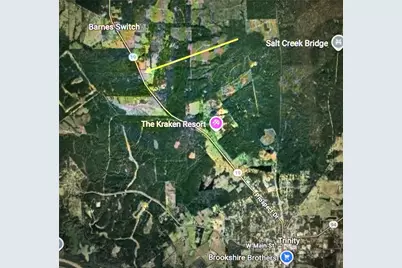 4109 N State Highway 19, Trinity, TX 75862 - Photo 2