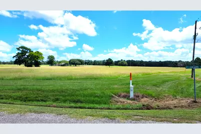 Lot 14 Montgomery Way, Trinity, TX 75862 - Photo 4