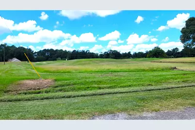 Lot 14 Montgomery Way, Trinity, TX 75862 - Photo 6