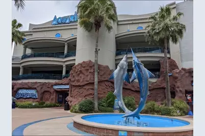 2248 Ann Street, Houston, TX 77003 - Photo 38