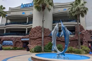 2248 Ann St, Houston, TX 77003 - Photo 38