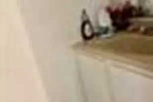 6200 W Tidwell Rd, Houston, TX 77092 - Photo 2