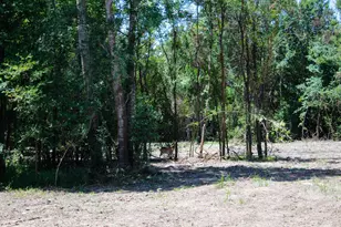 1 5+/- Acres Greenbriar Rd, Madisonville, TX 77864 - Photo 1