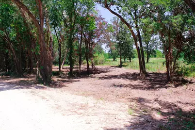 1.5+/- Acres Greenbriar Road, Madisonville, TX 77864 - Photo 4