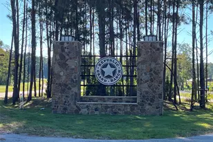 16302 Golden Wood Ct, Willis, TX 77378 - Photo 2