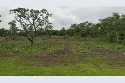 Lot 8 County Road 819, Brazoria, TX 77422 - Photo 1
