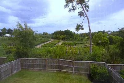 352 Mallorn Lane, Montgomery, TX 77316 - Photo 32