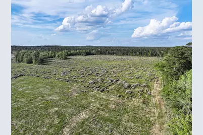 9770 N State Hwy 94, Groveton, TX 75845 - Photo 40