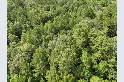 00 Cr 2065, Crockett, TX 75835 - Photo 24