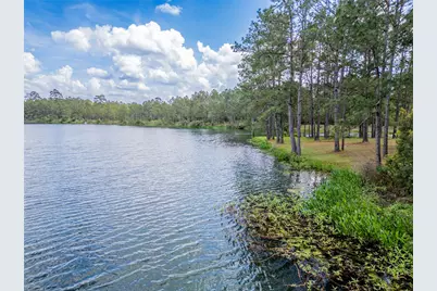 4473 Holly Trail Road, Montgomery, TX 77316 - Photo 2