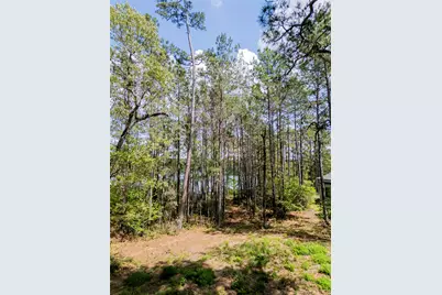 4473 Holly Trail Road, Montgomery, TX 77316 - Photo 10