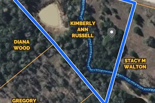 Lot 20 Cr 389, Jewett, TX 75846 - Photo 42