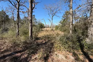 Lot 20 Cr 389, Jewett, TX 75846 - Photo 26