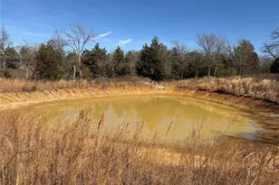 Lot 20 Cr 389, Jewett, TX 75846 - Photo 16