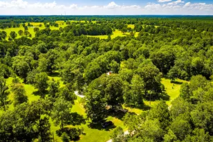 846 Savannah Ln, Livingston, TX 77351 - Photo 46