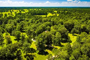 846 Savannah Ln, Livingston, TX 77351 - Photo 42