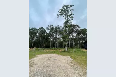 11338 Annie Creek Drive, Willis, TX 77378 - Photo 2