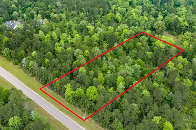 10627 Ruger Road, Willis, TX 77378 - Photo 6