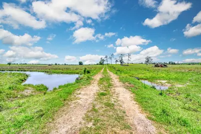 276Â± Ac Fm 977, Leona, TX 77871 - Photo 6
