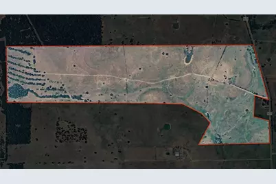 276Â± Ac Fm 977, Leona, TX 77871 - Photo 28