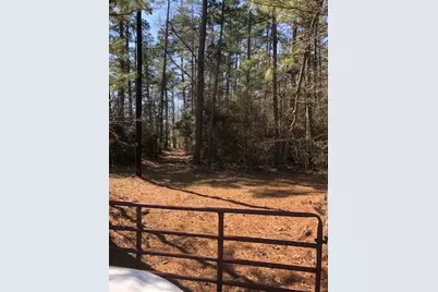 4525 N Fm 1486 Road, Montgomery, TX 77356 - Photo 8