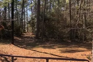 4525 N Fm 1486 Rd, Montgomery, TX 77356 - Photo 8