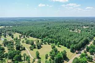 4525 N Fm 1486 Rd, Montgomery, TX 77356 - Photo 2