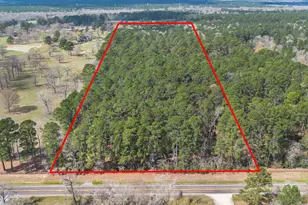 4525 N Fm 1486 Rd, Montgomery, TX 77356 - Photo 1