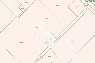 1857 County Rd 318, Brazoria, TX 77422 - Photo 4