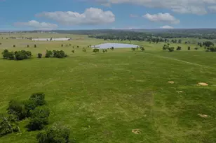 Tract #2 & #3 Cr 305 Rd, Navasota, TX 77868 - Photo 1