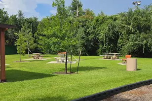 13835 Walnut Hollow Ln, Houston, TX 77082 - Photo 20