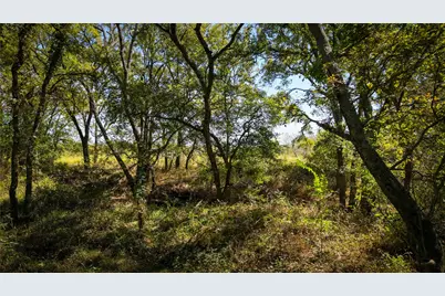 Tbd County Road 124, Prairie Hill, TX 76673 - Photo 6