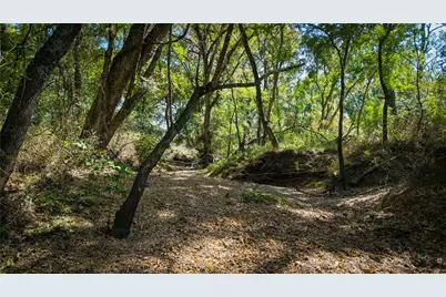 Tbd County Road 124, Prairie Hill, TX 76673 - Photo 32